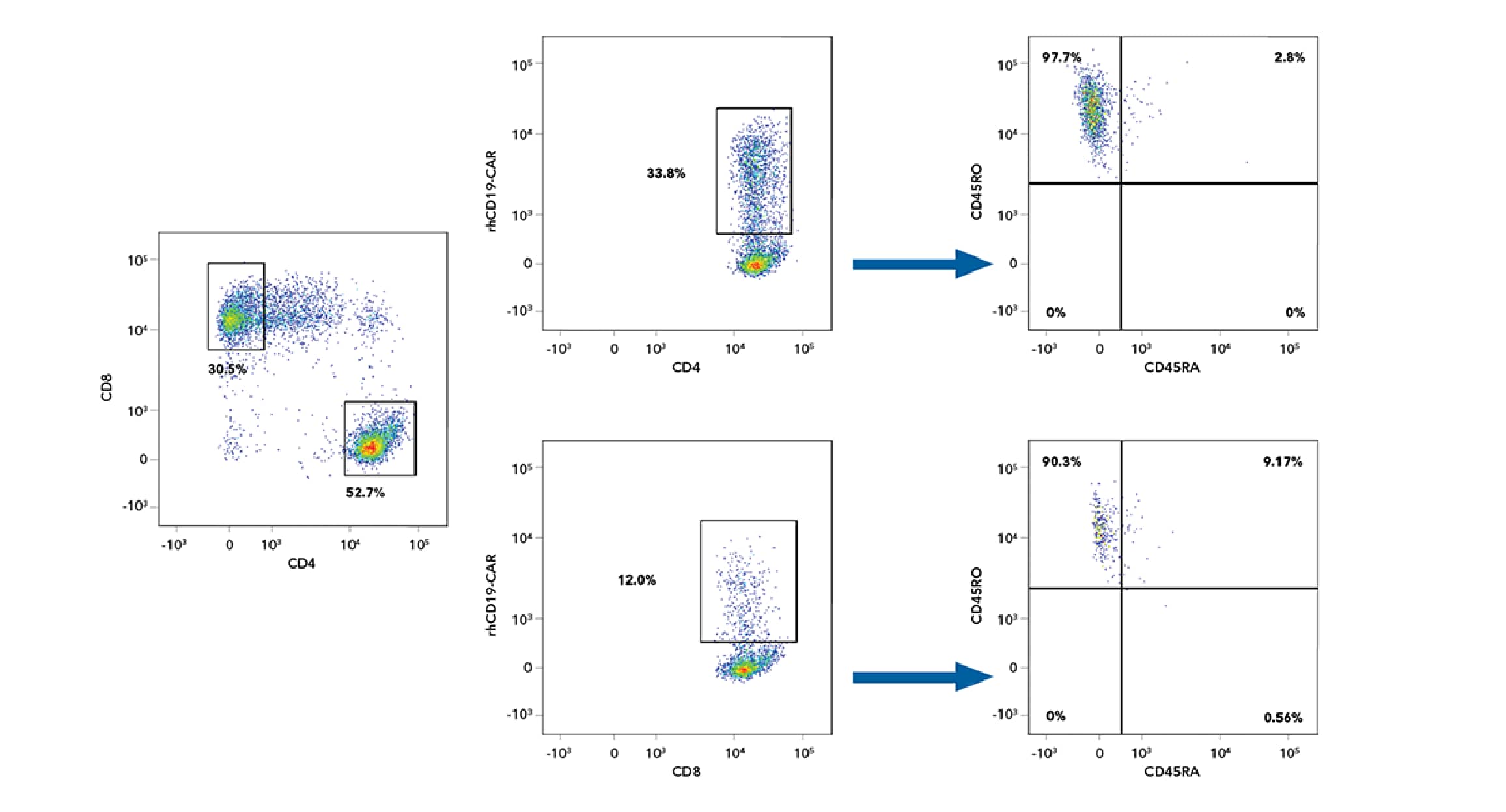 A Simple Flow Cytometry-Based Assay For CAR Detection Using Fluorokines ...